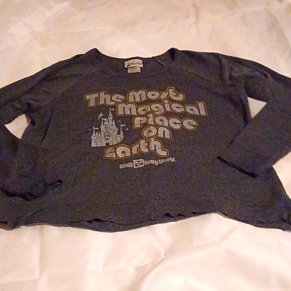 Grey Disney Parks Sweatshirt